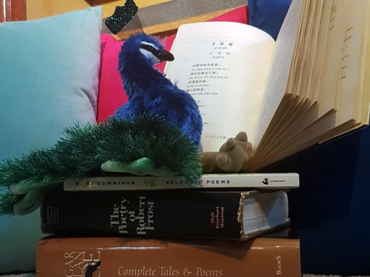 Pfau pfau poetry 520x390 News List